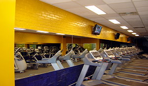 NYC General Contractor Inc - Force Flex Gym